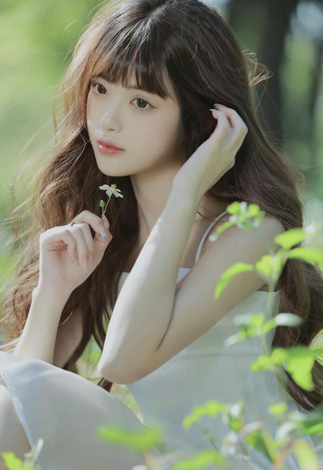 杨贵妃老夫子白莲花众乐乐